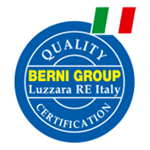 BERNI GROUP logo
