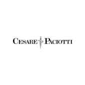CESARE PACIOTTI logo